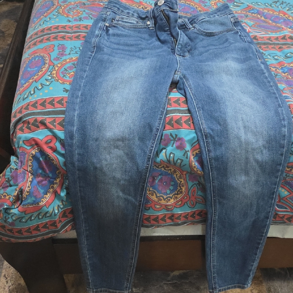 Judy Blue Classic Denim Skinny Jeans